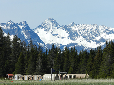 Great Alaska Bear Camp
