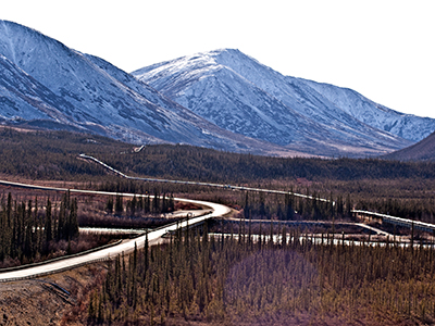 Arctic Ocean Adventure