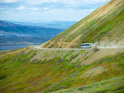 Tundra Wilderness Tour