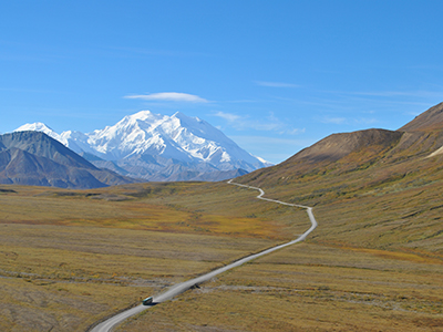 Denali National Park Bus Tour