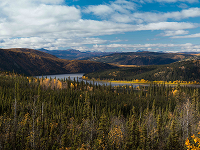 Sea to Arctic Circle