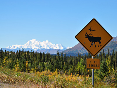 ab Denali oder Talkeetna