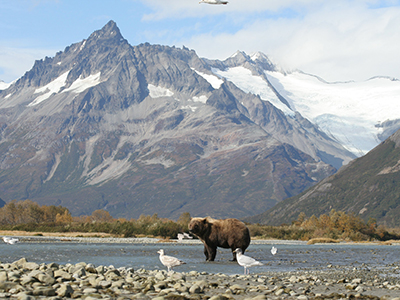 Katmai Nationalpark