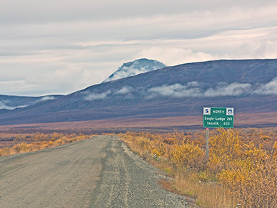 Arctic Summer