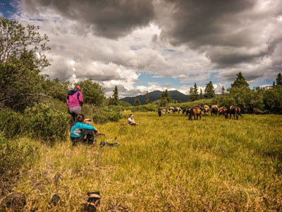 Alle Kurzreisen in Nordkanada