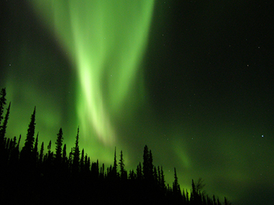 Yukon Winter Dream