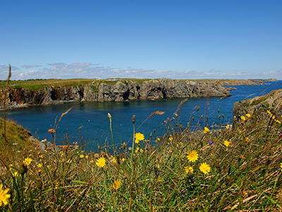 Newfoundland and Labrador Tour