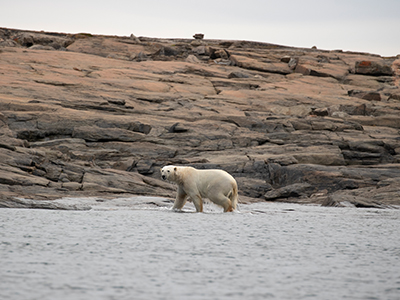 Nunavik Adventure