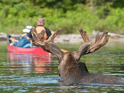 Canoe Trip for Families