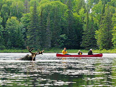 Classic Algonquin Canoe Trip