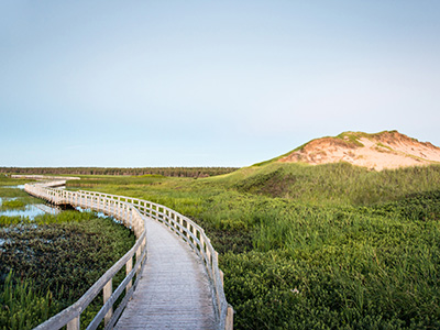 Hike & Explore Newfoundland