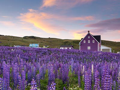 Maritimes & Iles de la Madeleine