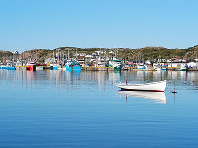 Lure of the Labrador