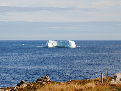 Newfoundland Adventure