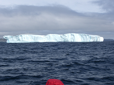 Twillingate Iceberg Tour