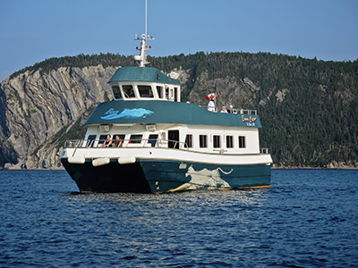 Bonne Bay Bootstour