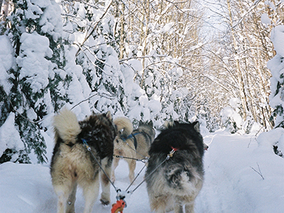 Winterreisen | Ostkanada