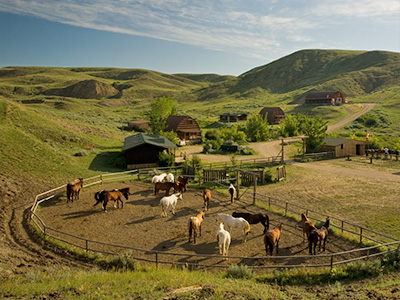 La Reata Ranch