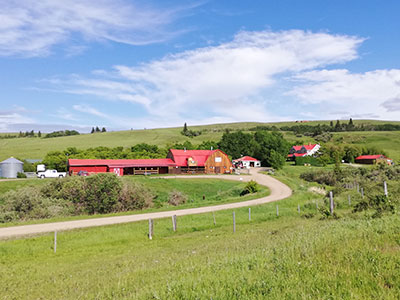 Historic Reesor Ranch