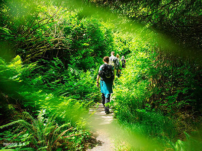 Hike Vancouver Island