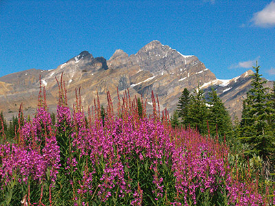 Rockies to Yukon