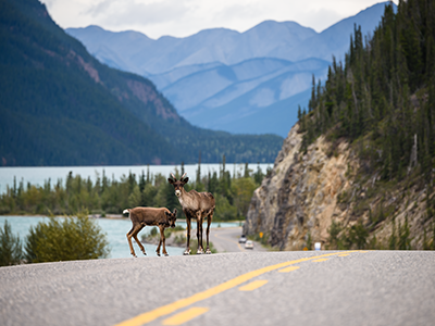 Selbstfahrerreisen in Westkanada