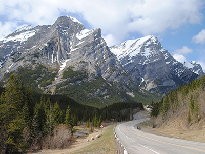 Vom Regenwald in die Rockies