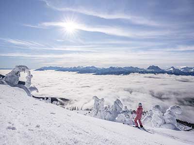 Ski Safari