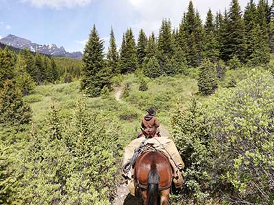 Reiten in Kanada