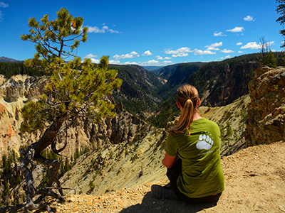 4. Teil | Yellowstone Nationalpark