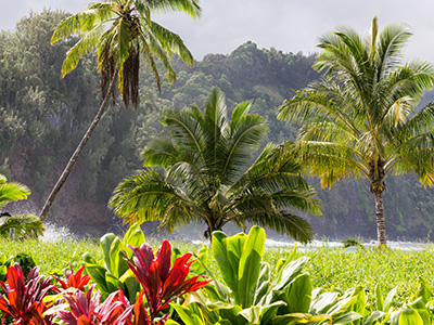 Hawaiian Islands Experience