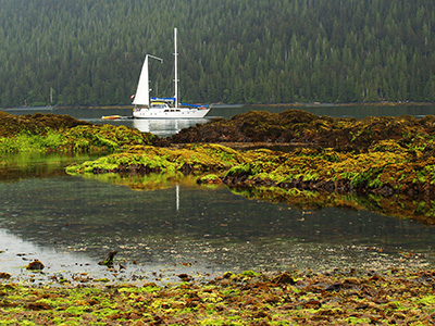 Bluewater Adventures | Alaska