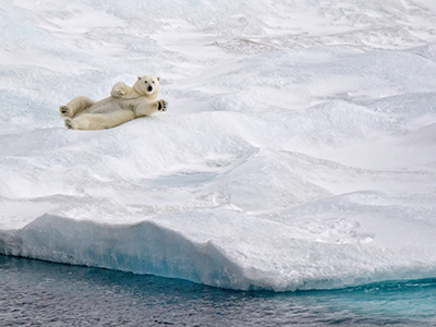 Into the Northwest Passage