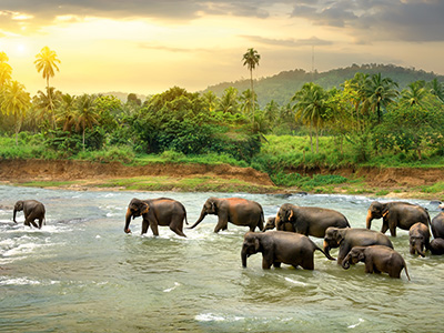 Gruppenreise Sri Lanka