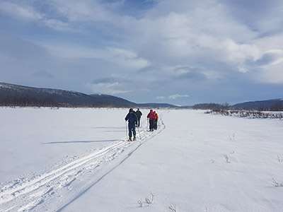 Lappland Safari