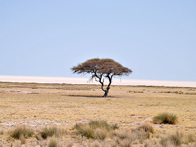 Der Norden Namibias