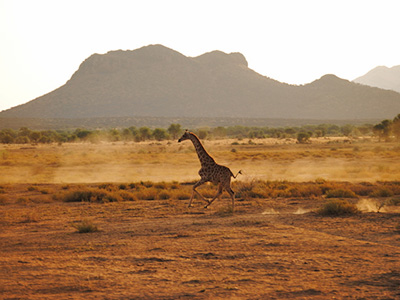 Himmel über Afrika