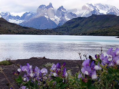 Land des Windes – Patagonien