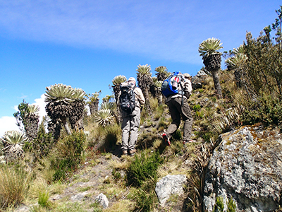 Trans Anden Trekking