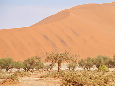 Kap – Kalahari – Namib – Etosha
