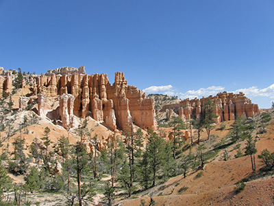 USA Trekking