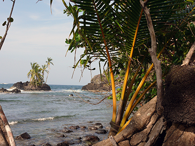 Costa Rica & Panama