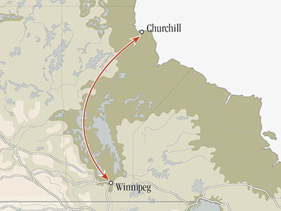 Manitoba Polar Bears