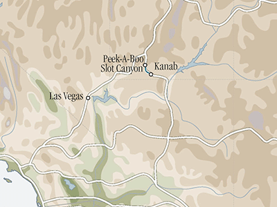 Peekaboo & Dinosaur Tracks