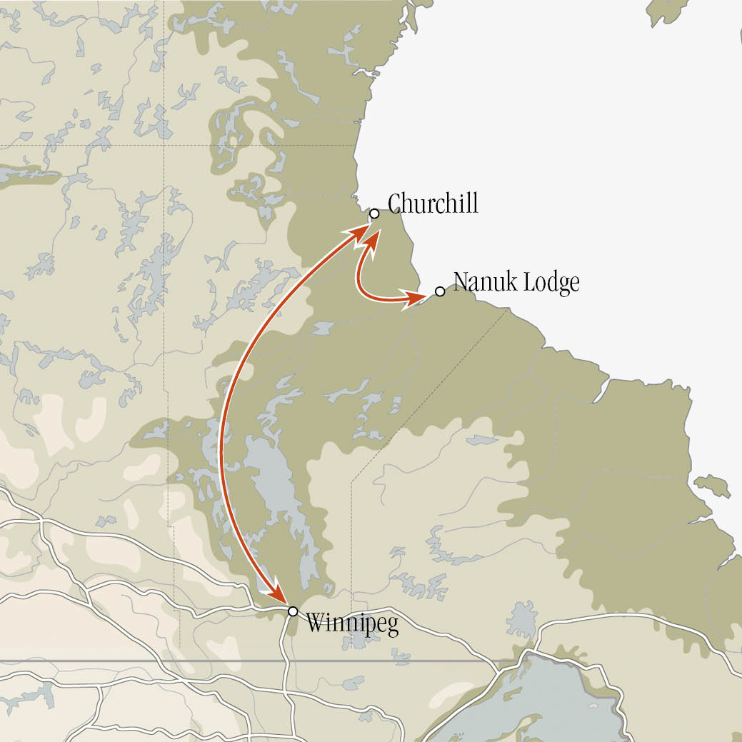 Polar Bear Photo Safari